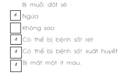 Giải vở bài tập Tự nhiên và Xã hội 1 bài 28