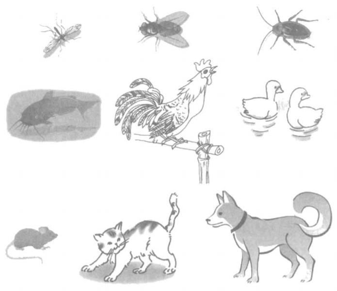 Giải vở bài tập Tự nhiên và Xã hội 1 bài 29