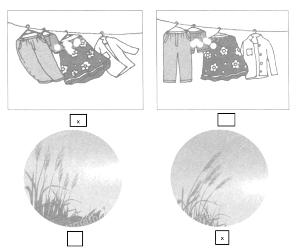 Giải vở bài tập Tự nhiên và Xã hội 1 bài 32