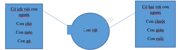 Giải vở bài tập Tự nhiên và Xã hội 1 bài 35