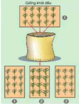 Lý thuyết Công nghệ 7