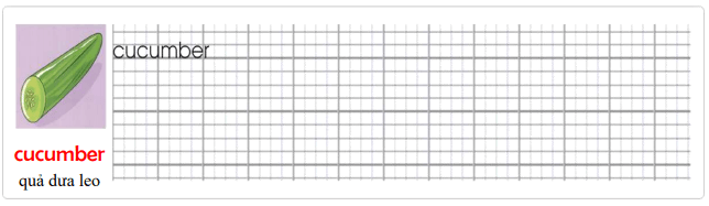 Tập viết Tiếng Anh lớp 4 Unit 8: I'd like a melon