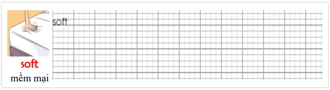 Tập viết Tiếng Anh lớp 5 Unit 8 The Best Bed