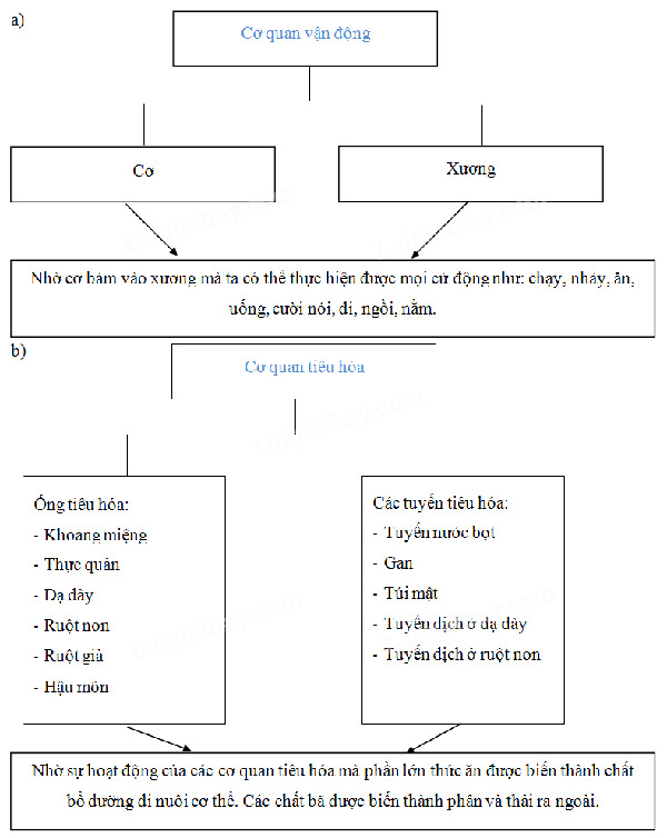 Giải Vở bài tập Tự nhiên và xã hội 2 bài 10