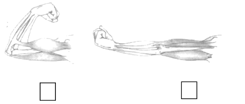 Giải Vở bài tập Tự nhiên và xã hội 2 bài 3