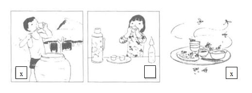 Giải Vở bài tập Tự nhiên và xã hội 2 bài 8