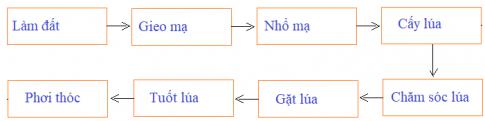 Hoạt động sản xuất của người dân ở đồng bằng Bắc Bộ