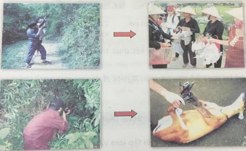 Giải Tiếng việt lớp 5 VNEN: Bài 11B