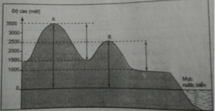 Giải VBT Địa lý lớp 6: Bài 13: Địa hình bề mặt Trái Đất