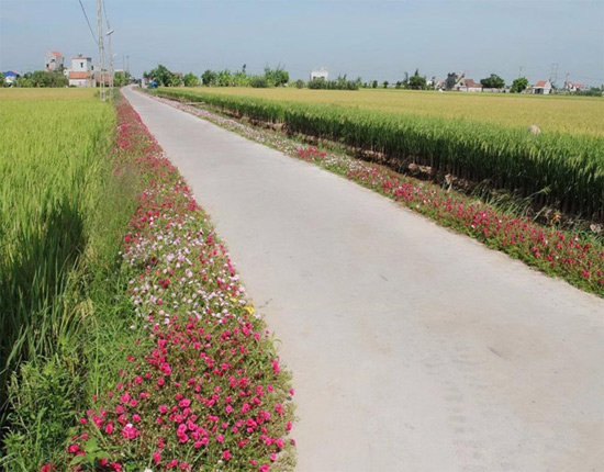 Tả cảnh đẹp quê em