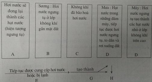 Giải VBT Địa lý lớp 6: Bài 20