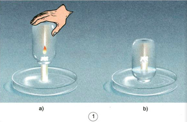 Giải sách bài tập Khoa học lớp 4 tập 1 trang 47