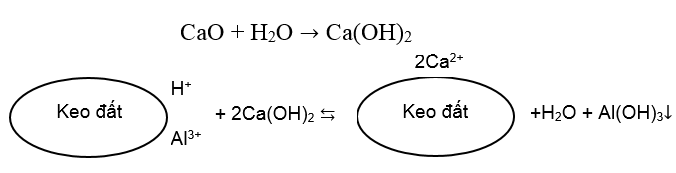 Giải SBT Công nghệ lớp 10 - Bài 10