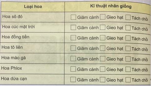 Soạn Công nghệ 9 bài Kĩ thuật trồng một số cây hoa thảm VNEN