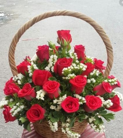 Soạn Công nghệ 9 bài Nguyên vật liệu và dụng cụ cắm hoa VNEN