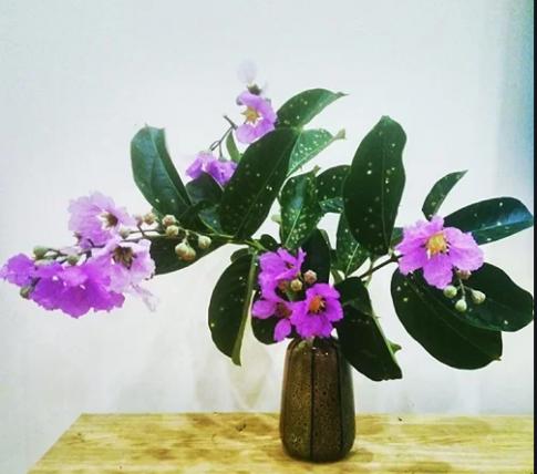 Soạn Công nghệ 9 bài Nguyên vật liệu và dụng cụ cắm hoa VNEN