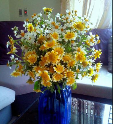 Soạn Công nghệ 9 bài Nguyên vật liệu và dụng cụ cắm hoa VNEN