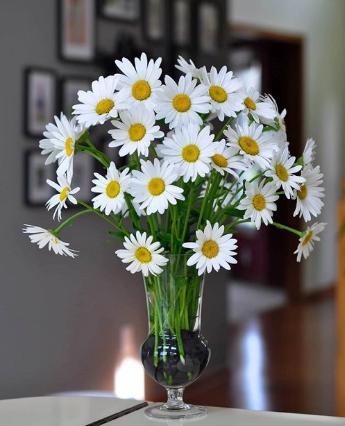 Soạn Công nghệ 9 bài Nguyên vật liệu và dụng cụ cắm hoa VNEN