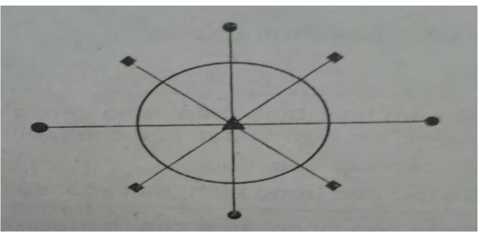 Giải SBT Công nghệ lớp 6: Bài 13