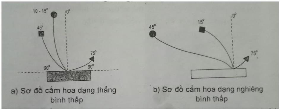 Giải SBT Công nghệ lớp 6: Bài 13
