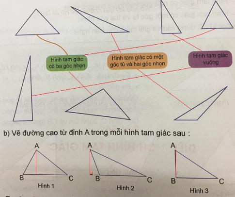Giải Toán lớp 5 VNEN bài 55: Hình tam giác