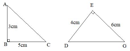 Diện tích Hình tam giác