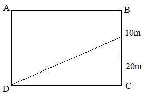 Diện tích Hình tam giác