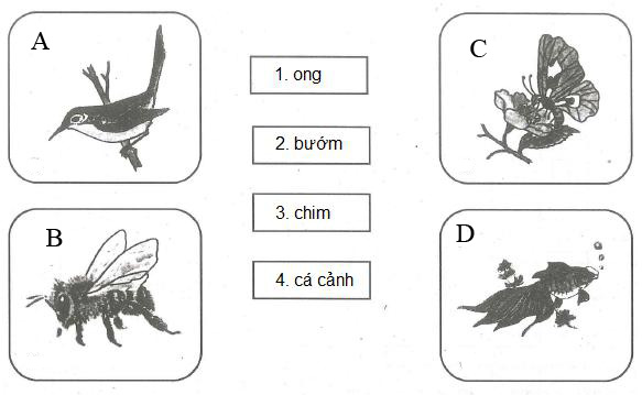 Đề thi học kì 1 lớp 1