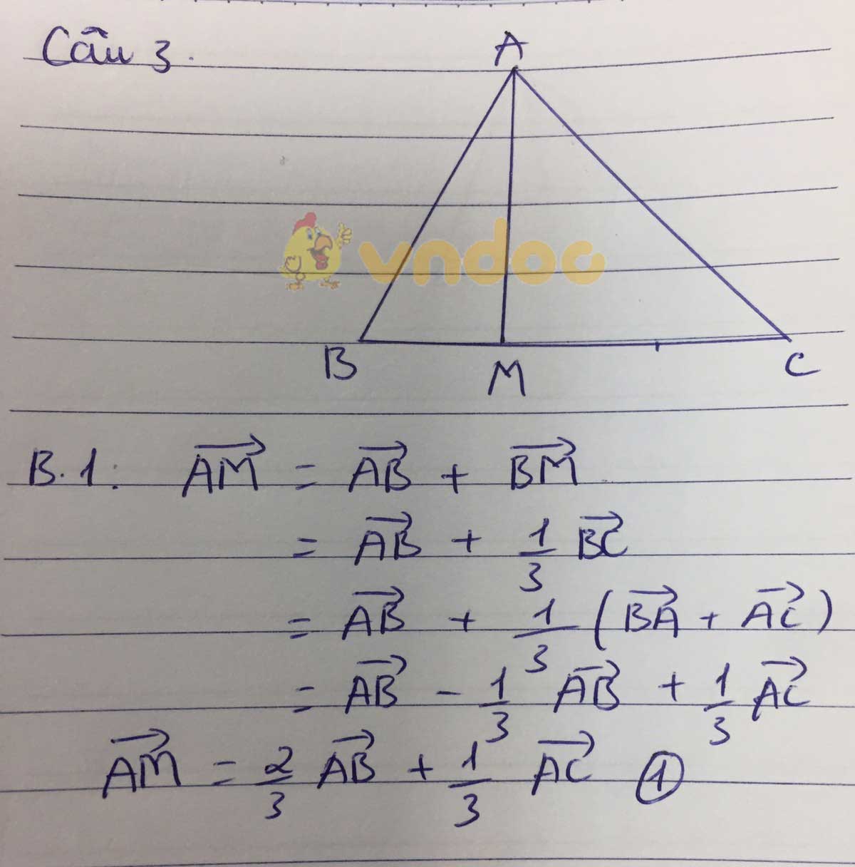 Đề thi giữa học kì 1 lớp 10 môn Toán Trường THPT Trần Hưng Đạo, Nam Định năm học 2019 - 2020
