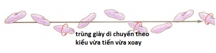 lý thuyết môn sinh học 7