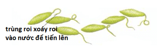 lý thuyết môn Sinh học 7