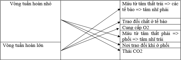 Lý thuyết môn sinh học