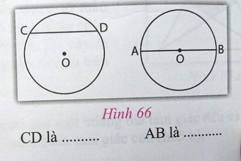 Soạn Toán 9 bài 1 Sự xác định đường tròn. Tính chất đối xứng của đường tròn VNEN