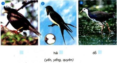 Giải Tiếng việt lớp 5 VNEN: Bài 8A