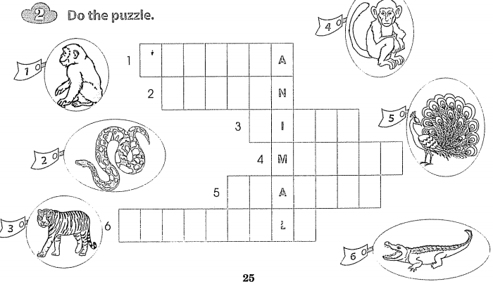 Bài tập cuối tuần môn Tiếng Anh lớp 5 Tuần 13