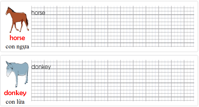Tập viết Tiếng Anh lớp 3 Unit 11 Look at all the animals!
