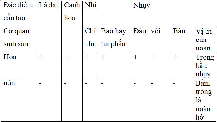 Giải VBT Sinh học lớp 6 bài 40