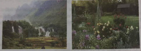 Giải Tiếng việt lớp 4 VNEN: Bài 20C