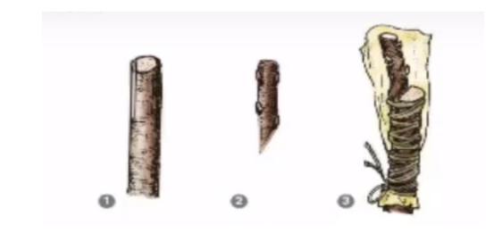 lý thuyết công nghệ 9