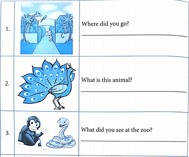 Bài tập ngữ pháp tiếng Anh lớp 5 Unit 9 What did you see at the zoo?