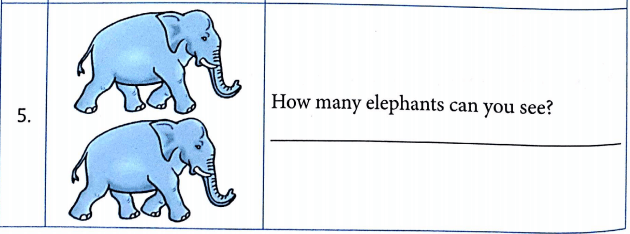 Bài tập ngữ pháp tiếng Anh lớp 5 Unit 9 What did you see at the zoo?