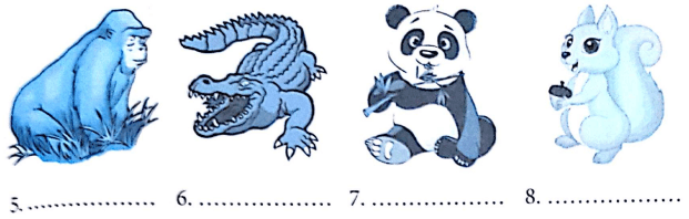 Bài tập từ vựng tiếng Anh lớp 5 Unit 9 What did you see at the zoo?