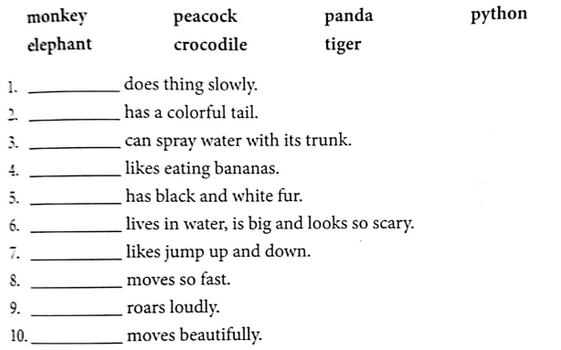 Bài tập từ vựng tiếng Anh lớp 5 Unit 9 What did you see at the zoo?