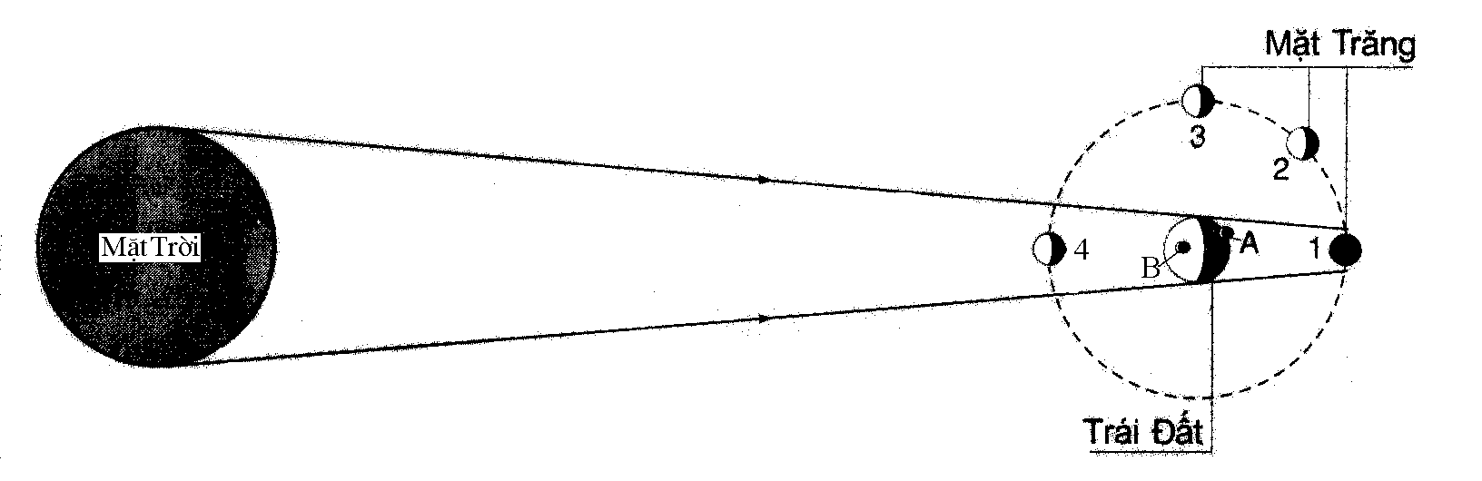 Đề thi học kì 1 Vật lý 7 có đáp án