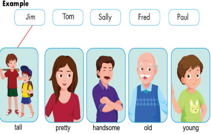 Đề thi học kì 1 tiếng Anh lớp 3 năm 2019 - 2020