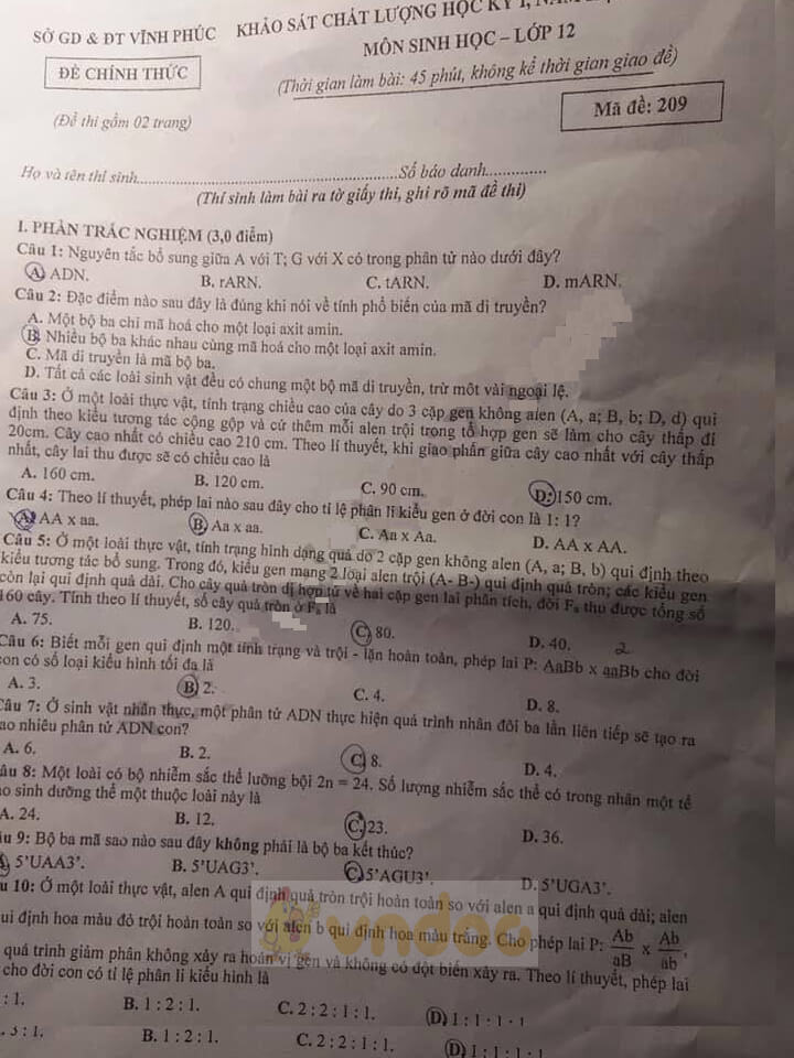 Đề thi học kì 1 lớp 12 môn Sinh học Sở GD&ĐT Vĩnh Phúc