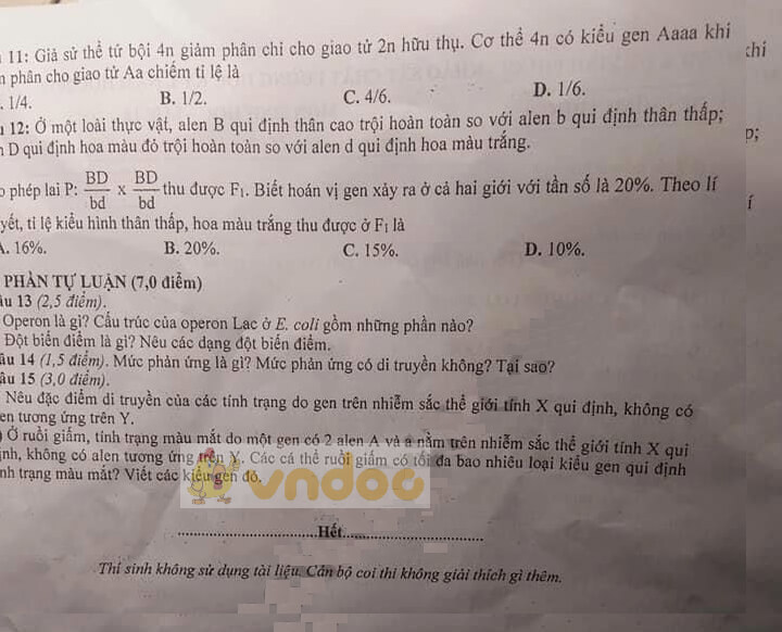 Đề thi học kì 1 lớp 12 môn Sinh học Sở GD&ĐT Vĩnh Phúc