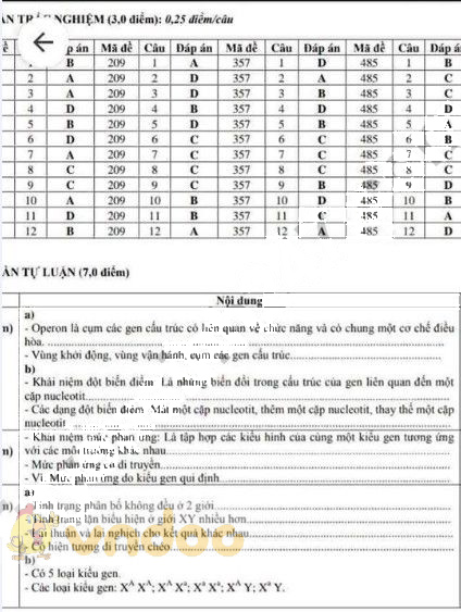 Đề thi học kì 1 lớp 12 môn Sinh học Sở GD&ĐT Vĩnh Phúc