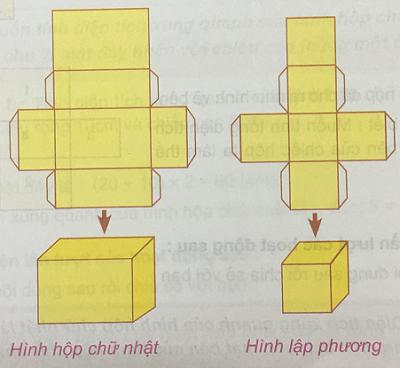 Hình hộp chữ nhật. Hình lập phương