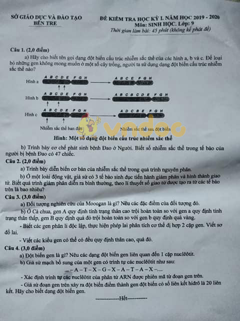 Đề thi học kì 1 lớp 9 môn Sinh học Sở GD&ĐT Bến Tre năm 2019 - 2020
